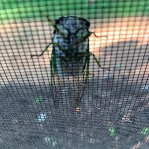 Meet your Posher, Mitchell